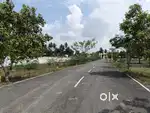 Vandalur to Kelambakkam Road Plots
