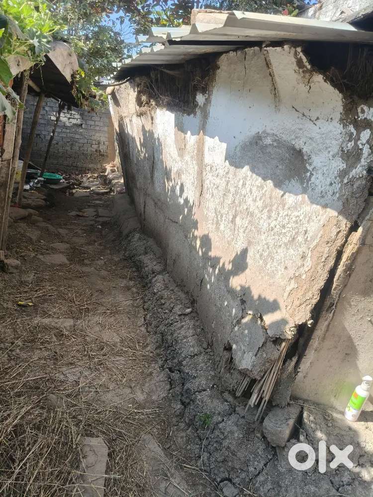 Danpatr wali zamin hai Argent sell Bagli village man road pe plot