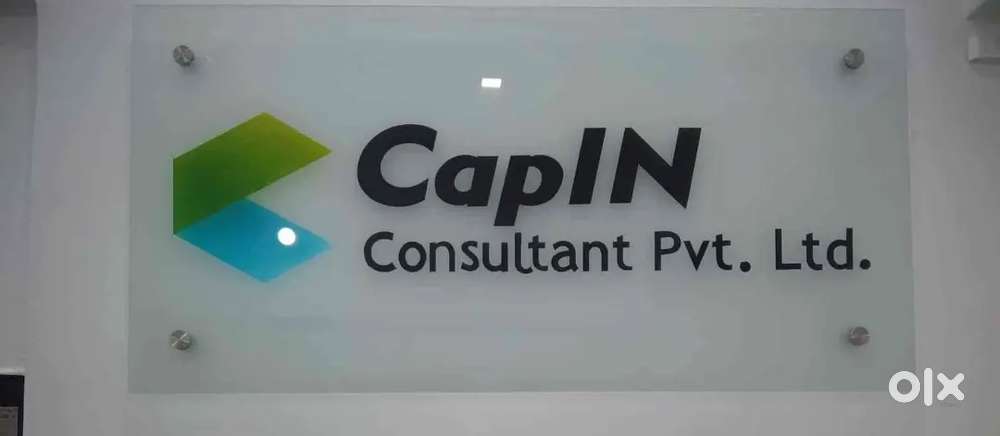 Capin consultant