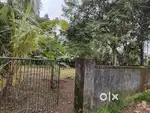Aluva kadungalloor 10 cent house plot