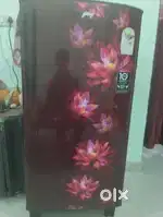 Gedrej Fridge