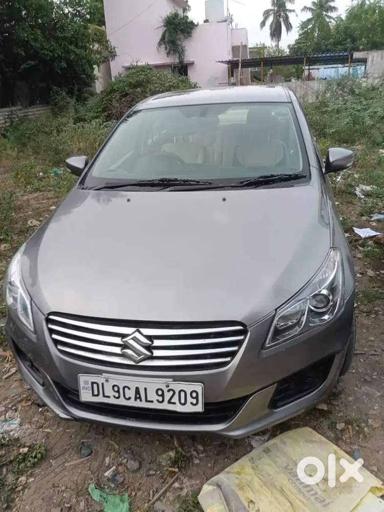 Maruti suzuki ciaz