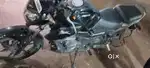 TVs raider 11months old