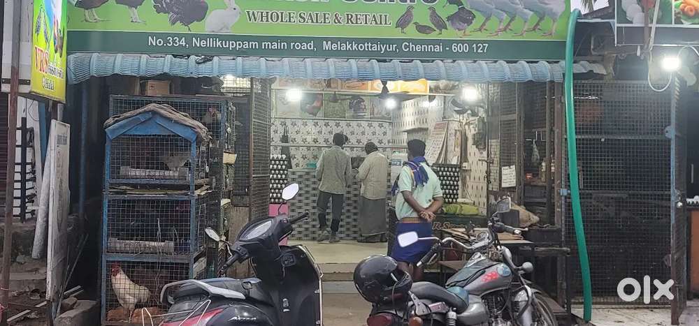 Chicken clinging master