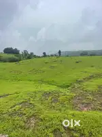 Farmhouse Plots for sales in Bhor Area