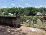 30 cents plot with dragon fruit farm in Nilambur