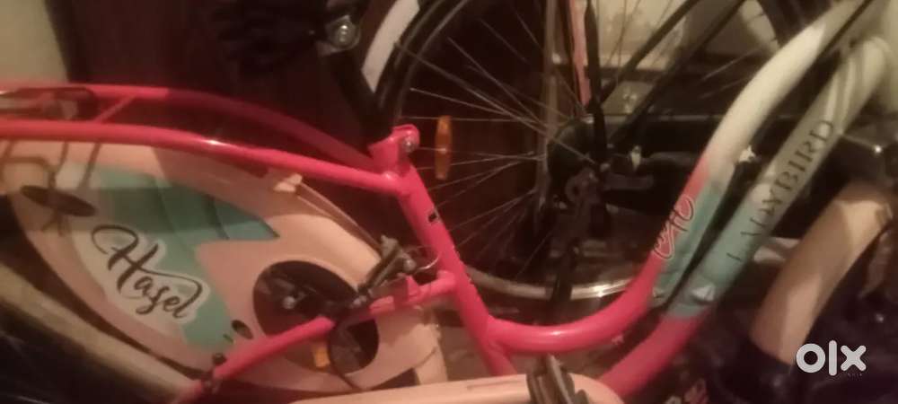 Bsa cycle good