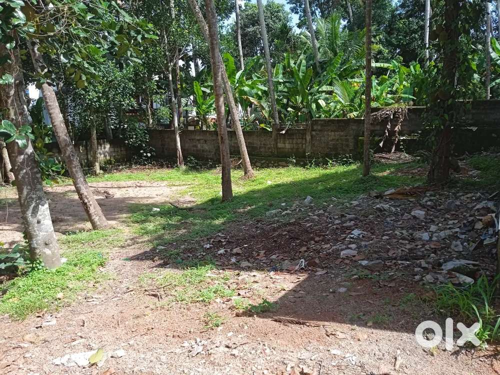 6 cent House plot sale sreekaryam kariyam