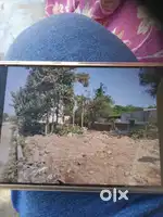 Tekumatla mondal+village (Boopalpally district) lo 4 gunta la plot