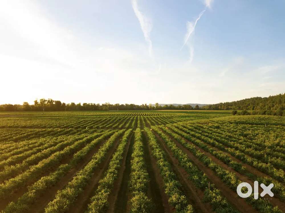 मला केळझर गावातील शेती घ्यायची आहे कुणाला शेती विकायचीअसेल तर सांगा