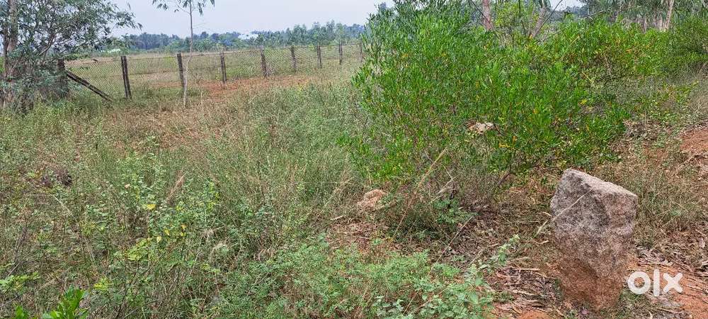 Karaikudi sri ram nagar arukil ulla land