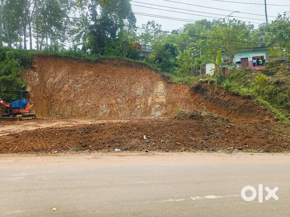 Urgent sale square flot main road side 14cent Chulimanoor kochuattukal