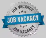URGENT VACCANCY FOR OFFICE WORk!!