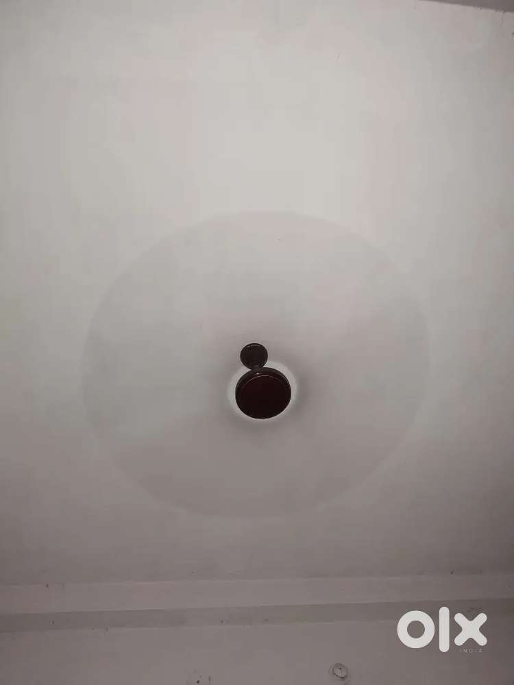 Ceiling Fan (Havells)