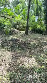 Land for sale in Kuthuparamba-Pathiriyad-Kannur District