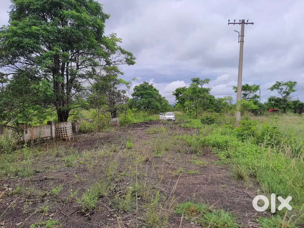 Sureddipalem, k kotapadu