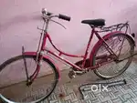 Ladies cycle