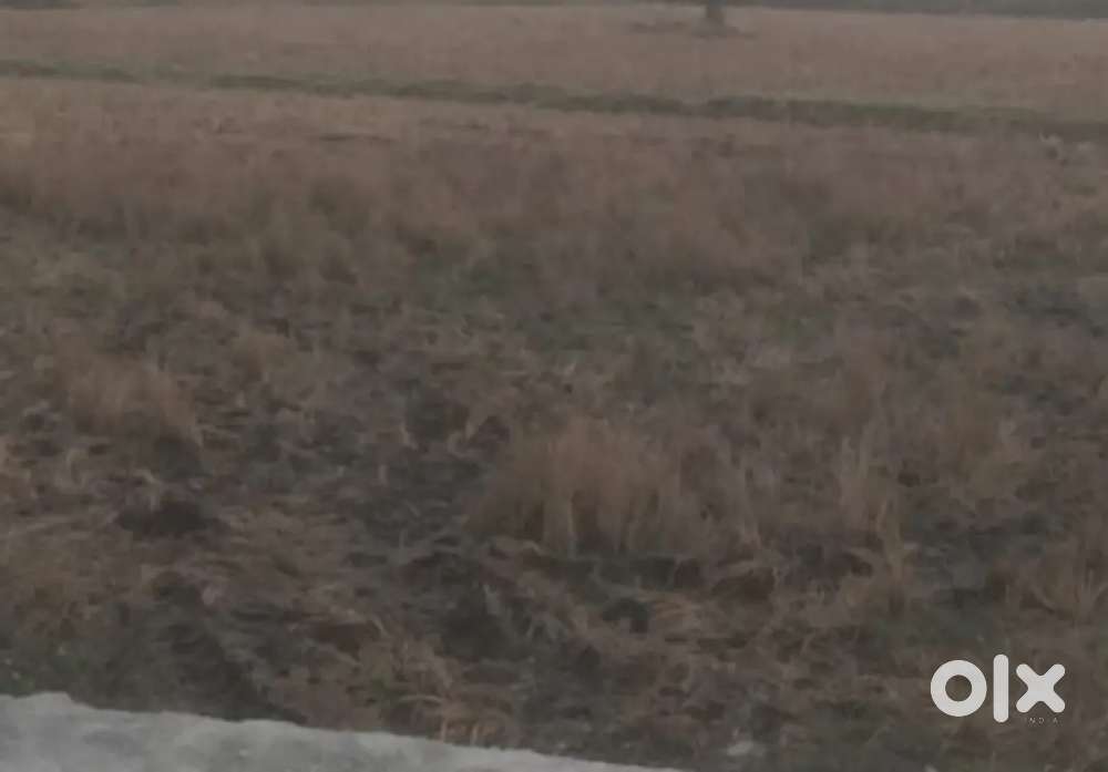 1 acres Full saparate jmeen tankori crossing near