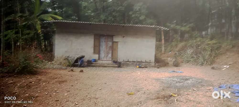 10 cent plot with a house for sale, 99000 per cent