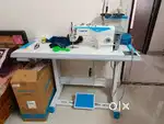 Ladies Tailor and Cutting Master