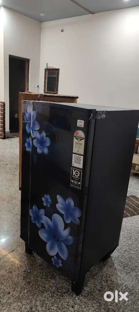 Goorej friedege direct cool