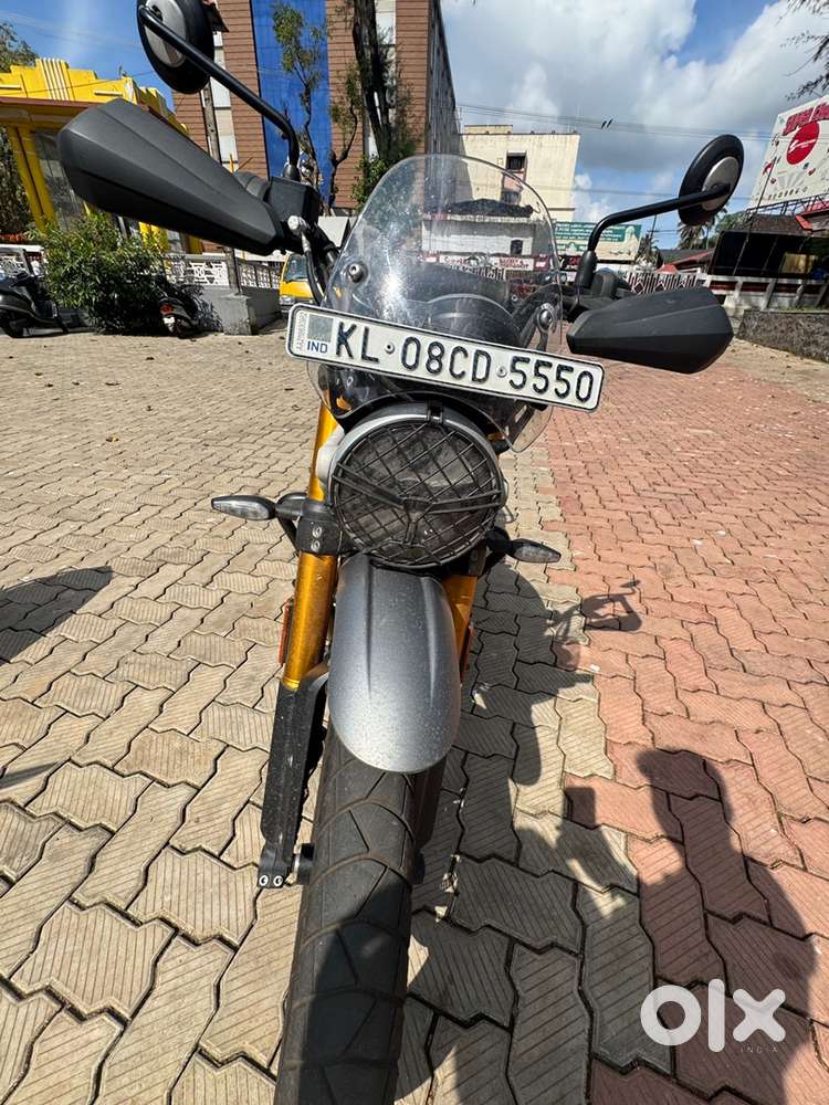 All new Triumph for sale