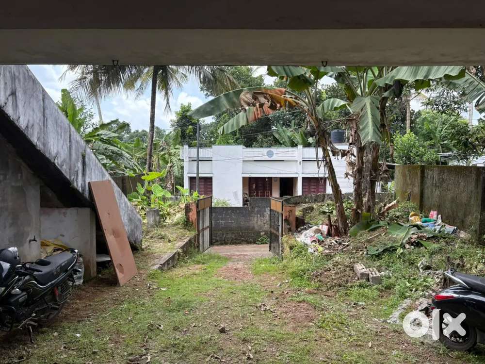 Commercial space for sale