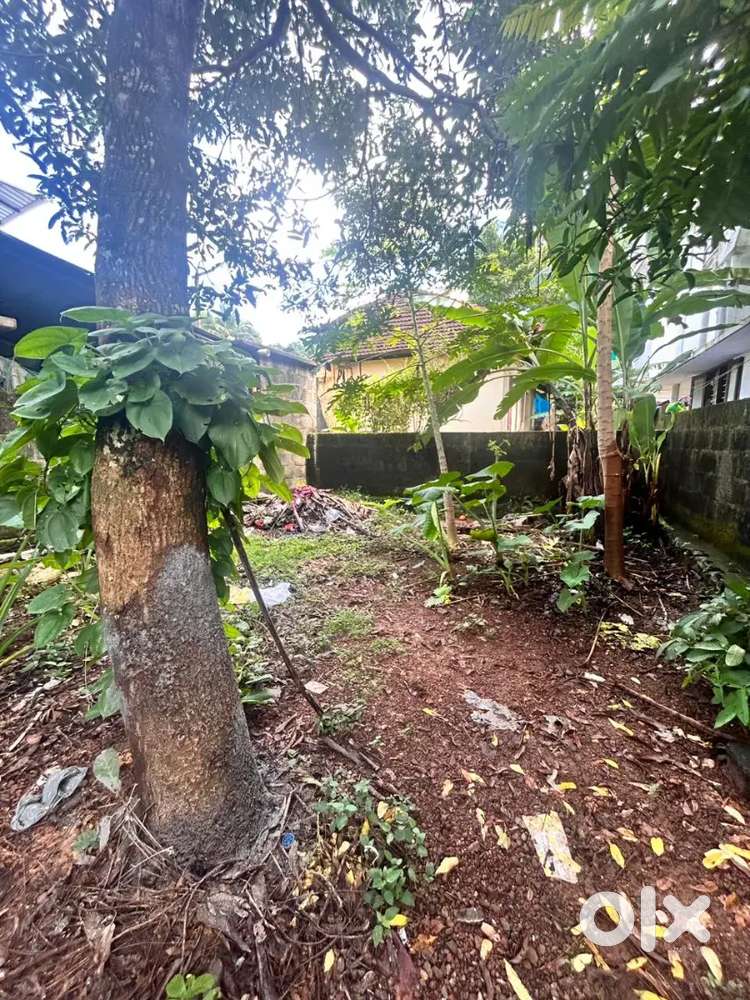 വട്ടിയൂർക്കാവ് കരിമൺകുളം റോഡിൽ 7 സെന്റും ഓടിട്ട വീടും വിൽപ്പനയ്ക്ക്