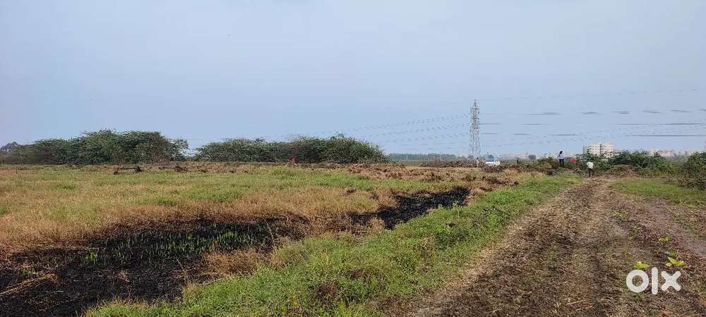 Land for Sale in Guntur
