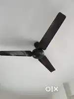 Celing Fan