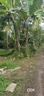 ഇരിഞ്ഞാലക്കുടയിൽ ടാറിംഗ് റോഡ് Frontage ഉള്ള ഒരു ഏക്കർ വില്പനയ്ക്ക്