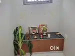 3 BHK flat for sale in gooty road