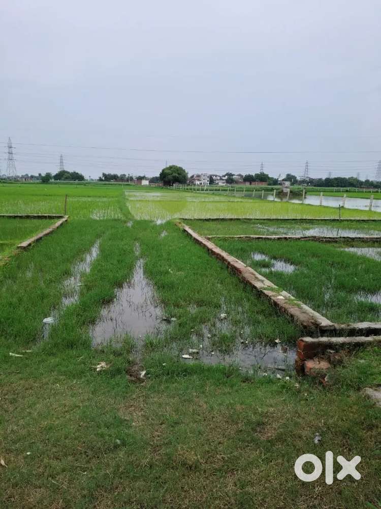 Affordable plot for sell