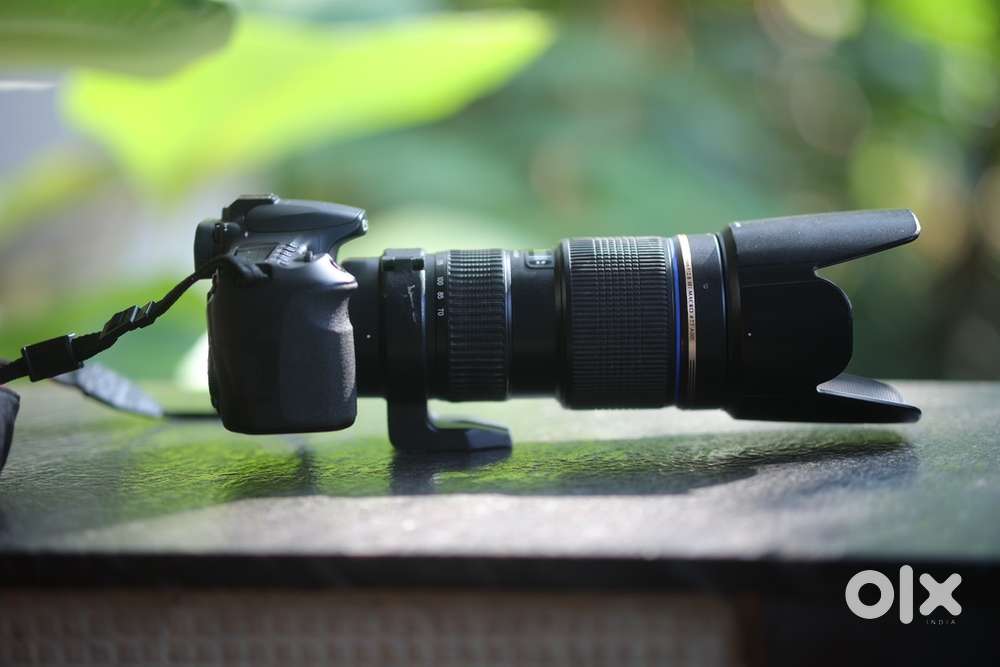 Canon amature  camera  and zoom lense