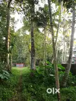 50 cents plot at Mavelikara town,alapuzha dist