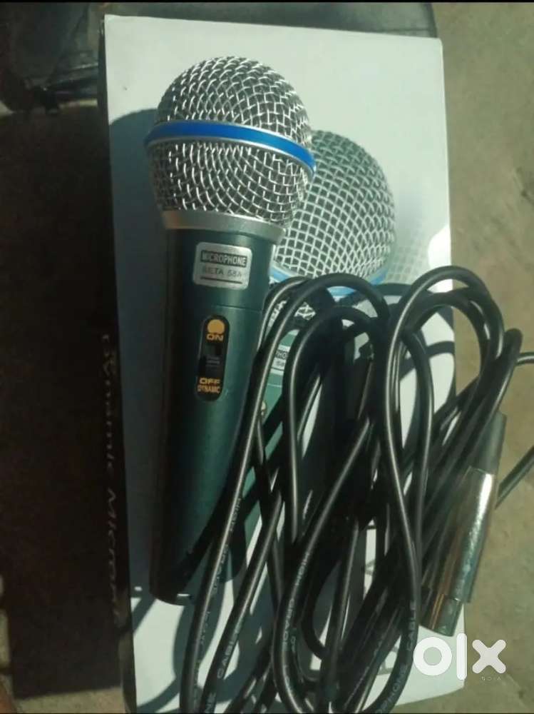 Microphone (Wired)