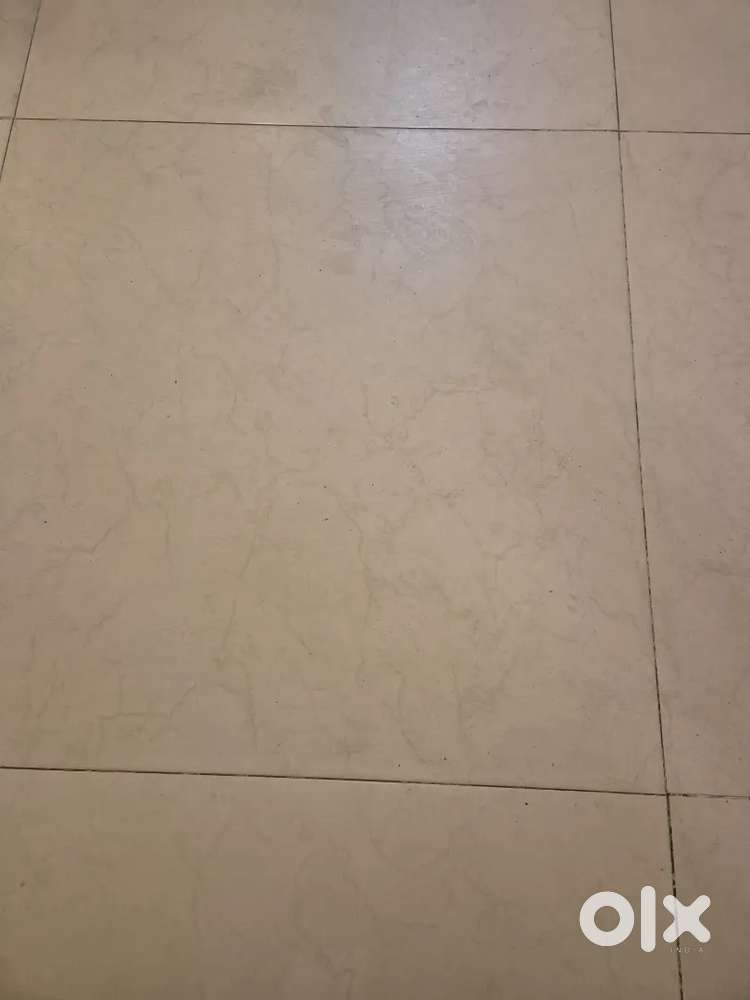 according to cv and experience