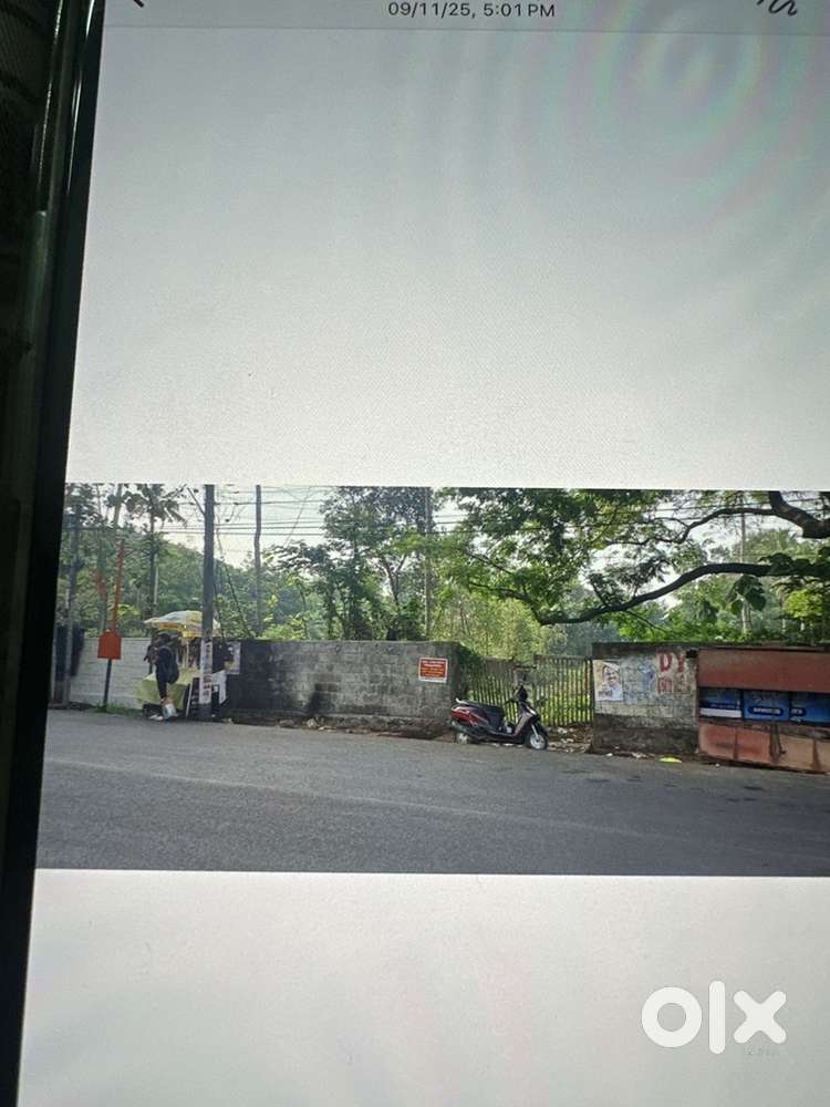 50 cents of comercial land for sail in kochi