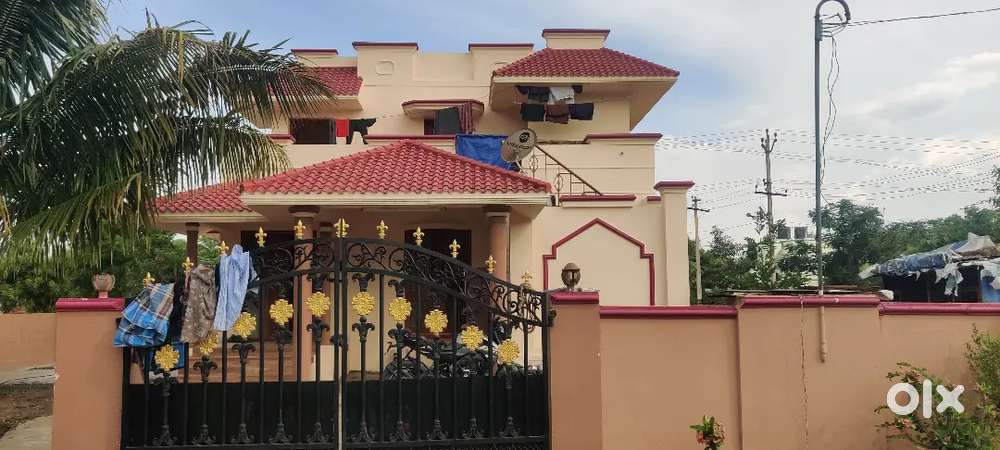 House near Goldwine for sale