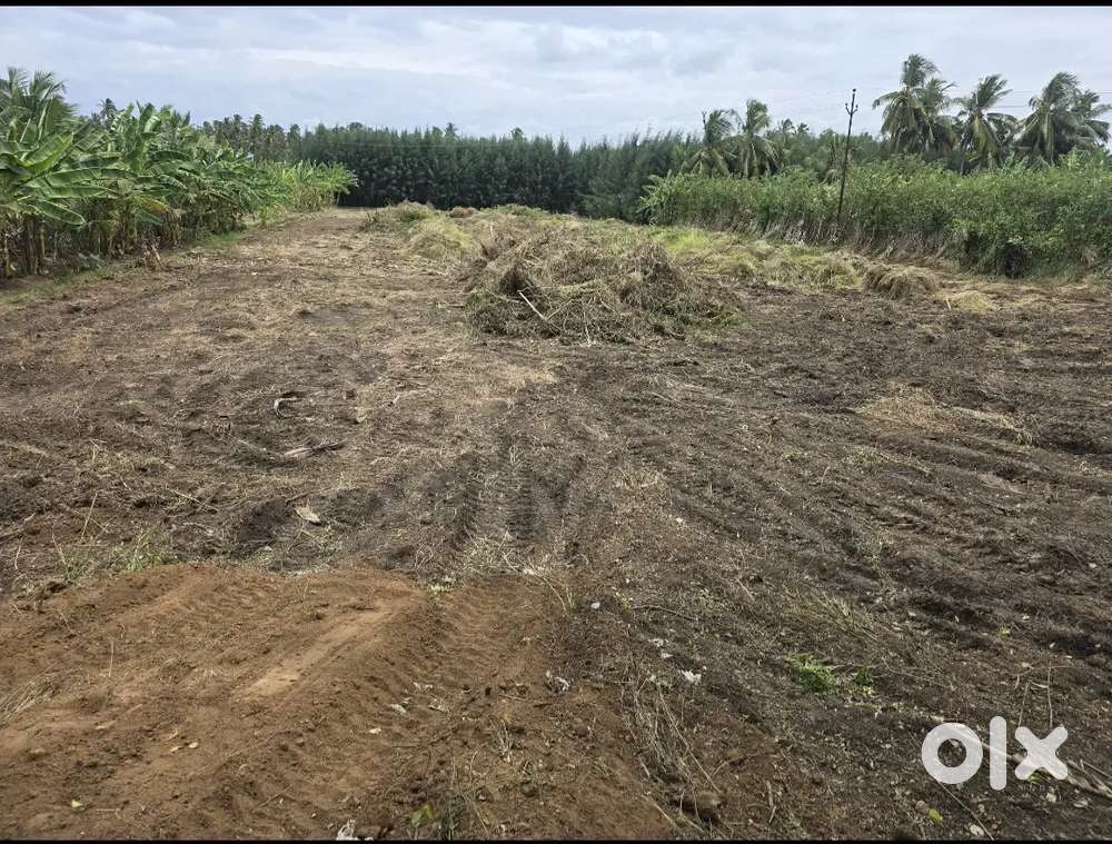 95 CENT LAND FOR SALE AT NANJAI PUGALUR