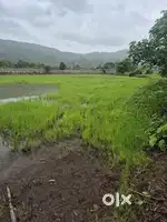 Agricultural land for sale