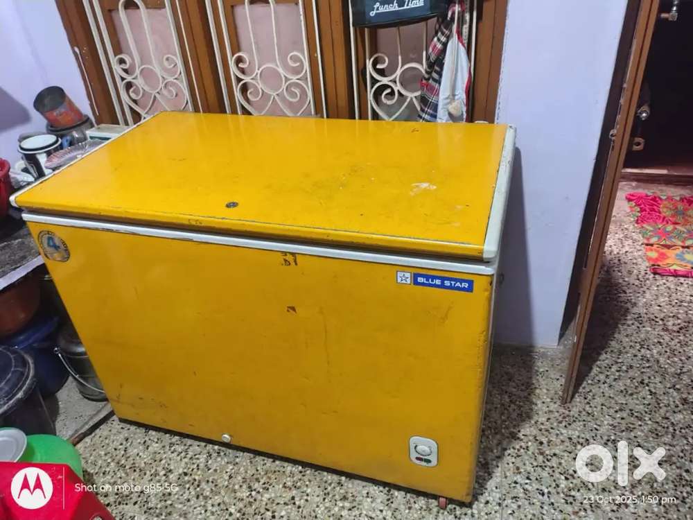 Blue star deep  fridge