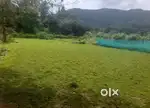 Near Hodike shiroor