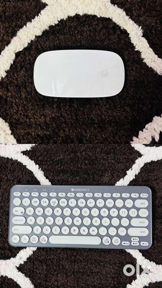 Apple Magic Mouse 2 & Wireless Keyboard