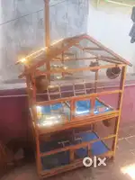 Love birds cage