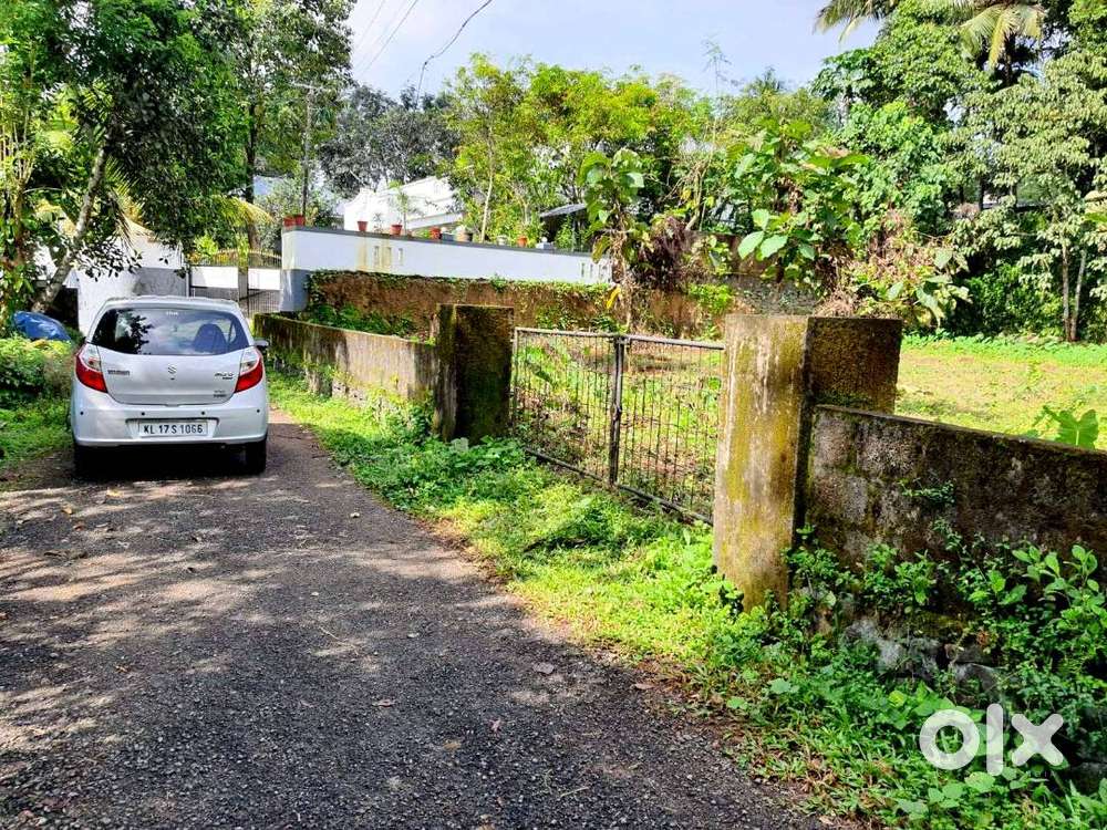 20 cent House plot, in kothamangalam-munnar highway