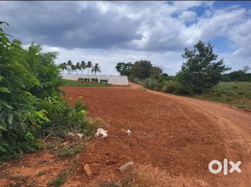 KEMPEGOWDA INTNL AIRPORT Near Vijayapura 60 Acres Available For sale