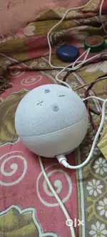 Alexa 4th gen new only 2 days