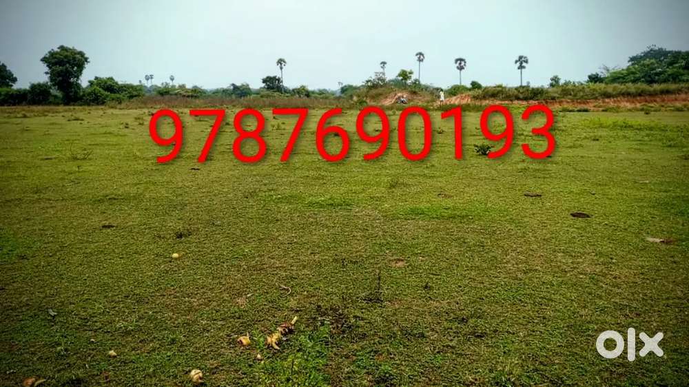 Agriculture Land for Sale