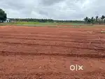 Land/ Agriland